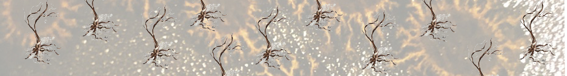 Twisted Trees banner